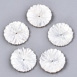 Ivoire Coquille de nacre blanche naturelle, sculpté, fleur, blanc crème, 24x2mm, Trou: 1.2mm