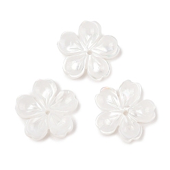 Белые Ракушки Резные бусины из натуральной белой ракушки, цветок, 12x12.5x2.5 мм, отверстие : 1 мм