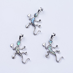 Раковина Кулон с панцирем, с латунной заготовкой из платины, геккон, 36x21x2.5 мм, отверстие : 5x8 мм