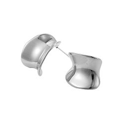 Нержавеющая Сталь Цвет 304 из нержавеющей стали серьги, неправильная форма, цвет нержавеющей стали, 17x22 мм