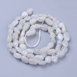 Rainbow Moonstone Бусины из натурального радужного лунного камня, упавший камень, самородки, 5~11x4~6 мм, отверстие : 1 мм, около 56~58 шт / нитка, 15.4 дюйм (39 см)