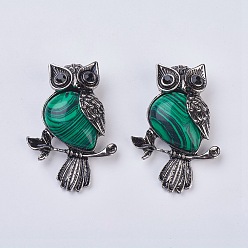Малахит Gemstone подвеска, со сплавочной фурнитурой и стразами, сова, 50x35x7.5~9 мм, отверстие : 5x8 мм