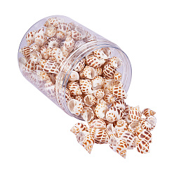 Chocolate Spiral Shell Pendants, Chocolate, 28~38x18~24x16~21mm, Hole: 1mm