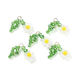 Прозрачный Подвески из стеклянных бусин, с медными петлями, Цветок жизни прелести, прозрачные, 18~20x23~24x5~5.5 мм, отверстие : 2.5 мм