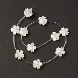 Ivoire Coquille de nacre blanche naturelle, fleur de pêche, blanc crème, 13x13x5mm, Trou: 0.7mm, Environ 10 pcs/chapelet, 12.60'' (32 cm)