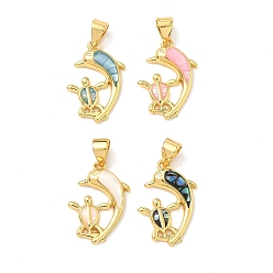 Настоящее золото 18K Латунь эмаль подвески, с естественной оболочке, подвески в виде дельфина и черепахи, долговечный, стойки покрытие, без свинца и без кадмия, реальный 18 k позолоченный, 19x13x3 мм, отверстие : 4.5x3.5 мм