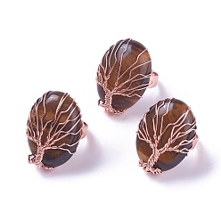 Тигровый глаз Регулируемые натуральные тигровые кольца для пальцев, с латунной фурнитурой розового золотого, овальные, размер 8, 18мм