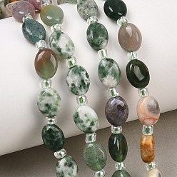 Смешанные камни Нити из натуральных кристаллов кварца, безумного агата, зеленой пятнистой яшмы, унакита, зеленого клубничного кварца и индийского агата, Плоско-овальные, с бисером, 8~8.5x6~6.4x3.8~4 мм, отверстие : 0.7 мм, около 37 шт / нитка, 15.28'' (38.8 см)