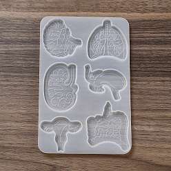 Body Медицинская тема diy силиконовые бейджи катушки орнамент формы, формы для литья смолы, для уф-смолы, изготовление ювелирных изделий из эпоксидной смолы, структура внутренних органов, 100x155x6 мм, внутренний диаметр: 33~44x44~55 мм