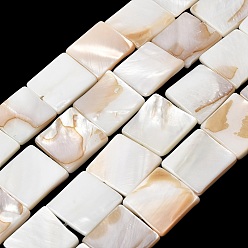 Морская Ракушка Естественных пресноводных оболочки бисер нитей, квадратный, цвет морской раковины, 14.5~15.5x14.5~15.5x3 мм, отверстие : 0.5 мм, около 26 шт / нитка, 15.35~15.47'' (39~39.3 см)