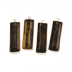 Тигровый глаз Природных тигровый глаз подвески, с фурнитурой латунной золотого тона, прямоугольные, 48~49x13x4~5 мм, отверстие : 2.5 мм