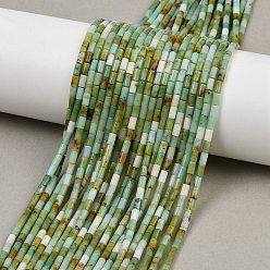 Хризопраз Натуральные хризопразные бисерные пряди, колонка, 4~4.5x2 мм, отверстие : 0.7 мм, около 88~92 шт / нитка, 14.49~14.96'' (36.8~38 см)