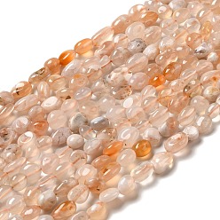 Cherry Blossom Agate Natural Cherry Blossom Agate Beads Strands, Nuggets, 8~14x6~8x4~8mm, Hole: 1mm, about 46~48pcs/strand, 39~39.5cm