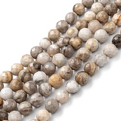 Серебряный Лист Джаспер Природное серебро листьев яшмы бисер нитей, круглые, 6 мм, отверстие : 1 мм, около 68 шт / нитка, 15.94~16.14 дюйм (40.5~41 см)