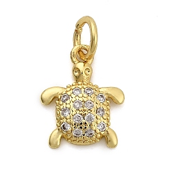 Tortoise Латунные микро проложить кубического циркония прелести, стойки покрытие, долговечный, без кадмия и без свинца, с целью перехода в кольце, золотые, черепаха, 12x9.5x2 мм, отверстие : 3.3 мм