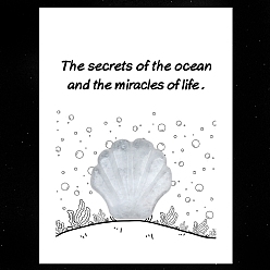 Хрусталь Натуральный кристалл кварца, резные фигурки в форме ракушки, орнамент, для домашнего украшения рабочего стола, Подарочная карта своими руками с вдохновением, оболочкой: 30 mm