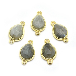 Лабрадорита Соединители из натурального лабрадорита, с фурнитурой латунной золотого тона, слеза, граненые, 17.5x9.5x5 мм, отверстие : 1.2 мм