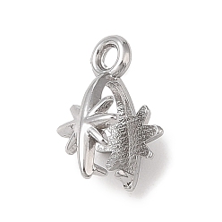 Нержавеющая Сталь Цвет Не тускнеет 304 нержавеющая сталь скобы для колки льда, звезда, цвет нержавеющей стали, 13x6 мм, отверстие : 1.6 мм, штифты : 0.8 мм