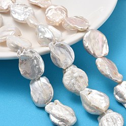 Морская Ракушка Натуральный жемчуг в стиле барокко кеши, культивированный пресноводный жемчуг, плоско-круглые, класс 2а+, цвет морской раковины, 22~24x16~18x5.58 мм, отверстие : 0.9 мм, около 17~18 шт / нитка, 15.24~16.18'' (38.7~41.1 см)