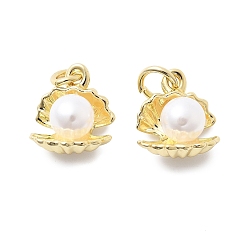 Настоящее золото 18K Перламутровые перламутровые прелести, формы раковины, с латунной петлей и соединительным кольцом, реальный 18 k позолоченный, 14.5x12.5x8.5 мм, отверстие : 4 мм