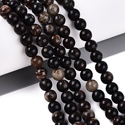 Biotite Natural Biotite Beads Strands, Smooth Round, 6mm, Hole: 0.6~0.8mm, about 63~64pcs/strand, 14.76~15.16 inch(37.5~38.5cm)