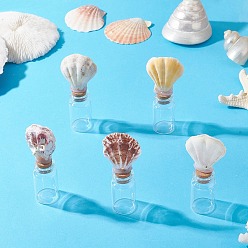 Shell Shape Натуральные бусины из ракушек гребешков в стеклянной банке стеклянные бутылки, с украшением в виде пробки, формы раковины, 35.5~36x22x82 мм