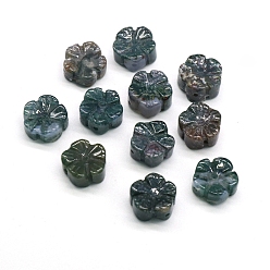Indian Agate Natural Indian Agate Beads, Flower, 12x12mm