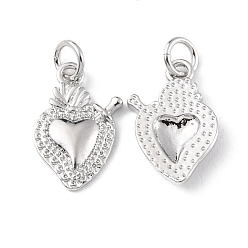 Платина Стойки обшивки латунные подвески, без кадмия и без свинца, долговечный, с целью перехода в кольце, очарование священного сердца, платина, 16x11x2 мм, отверстие : 3.2 мм