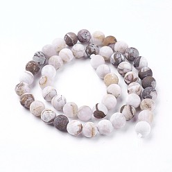 Деревянное Окаменение Натуральная америка окаменелая древесина бус пряди, матовые, круглые, 8 мм, отверстие : 1.2 мм, около 46~47 шт / нитка, 14.8 дюйм ~ 15.51 дюйм (37.7~39.4 см)