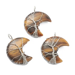 Tiger Eye Natural Tiger Eye Tree of Life Wire Wrapped Pendants, with Platinum Brass Findings, Crescent Moon, 43~47x31~35x11~13mm, Hole: 4~5mm
