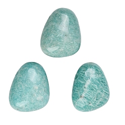 Амазонит Природные подвески амазонит, грушевые обереги, 23~23.5x28.5~29x12~13 мм, отверстие : 2.5 мм