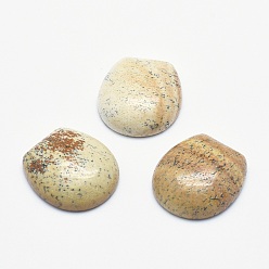 Picture Jasper Natural Picture Jasper Cabochons, 22x20x6~6.5mm
