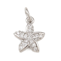 Платина Латунные микропаве прозрачные кубические циркониевые подвески, морская звезда, долговечный, без кадмия и без свинца, стойки покрытие, с целью перехода в кольце, платина, 12x10.5x2 мм, отверстие : 3.4 мм
