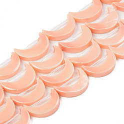 Сэнди Коричневый Гальванические бусины из натуральных пресноводных ракушек, окрашенные, луна, песчаный коричневый, 15.5x10.5~11.5x3 мм, отверстие : 1 мм, около 25 шт / нитка, 15.16 дюйм ~ 15.43 дюйм (38.5 см)