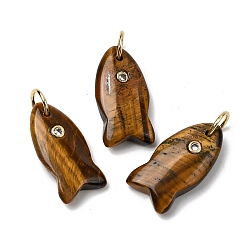 Тигровый глаз Природных тигровый глаз подвески, подвески в виде рыбок с латунной микрофиброй и фианитами, золотые, 24x12x5 мм, Перейти кольцо: 8x1 мм, внутренний диаметр: 6 мм