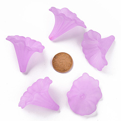 Medium Purple Transparent Acrylic Beads, Calla Lily, Frosted, Medium Purple, 40.5x33x35mm, Hole: 1.8mm, about 135pcs/500g