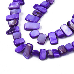 Blue Violet Natural Trochid Shell/Trochus Shell Beads Strands, Dyed, Rectangle, Blue Violet, 6~11x6~36x1~7mm, Hole: 1mm, about 45~55pcs/strand, 14.96 inch~15.35 inch(38cm~39cm)