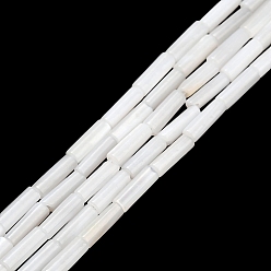 Fantasma Blanco Cuentas de concha de perla natural hebras, columna, fantasma blanco, 6~6.5x2 mm, agujero: 0.4 mm, sobre 62 unidades / cadena, 15.28 pulgada (38.8 cm)