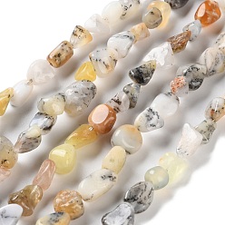 Цветочный Опал Натуральный цветок опаловых нитей, самородки, упавший камень, 4.5~11.5x3~7x3.5~6 мм, отверстие : 1~1.2 мм, около 48~68 шт / нитка, 15.35~15.94'' (39~40.5 см)