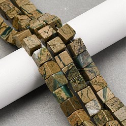 Природный Драгоценный Камень Нити бусин из натурального камня вердит, кубические, 8~8.5x8~8.5x8~8.5 мм, отверстие : 1.2 мм, около 46 шт / нитка, 15.35'' (39 см)