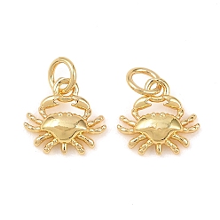 Краб Латунь прелести, с целью перехода в кольце, морская тема, реальный 18 k позолоченный, краб, 10.5x11x3 мм, отверстие : 3.5 мм