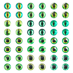 Green 70Pcs 2 Styles Glass Cabochons, Half Round with Eye Pattern, Craft Eyes for Doll Making, Green, 8x2mm, 35pcs/style