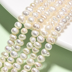 Морская Ракушка Естественный культурный жемчуг пресноводных, картофель, цвет морской раковины, 4~5 мм, отверстие : 0.8 мм, около 71~72 шт / нитка, 13.70~13.98 дюйм (34.8~35.5 см)