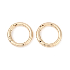 Light Gold Застежки из сплава с пружинным затвором, долговечный, стойки покрытие, золотой свет, 24.5x4.5 мм