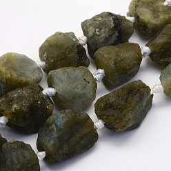 Labradorite Natural Labradorite Beads Strands, Nuggets, 17~30.5x11~26x11~26mm, Hole: 2mm, about 16~19pcs/strand, 15.7 inch(40cm)