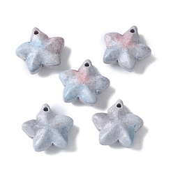 Светлый Стально-синий Натуральные радужные агатовые подвески из алашана, окрашенные, звезды прелести, светло-стальной синий, 13~13.5x14~14.5x5~5.5 мм, отверстие : 1.2 мм