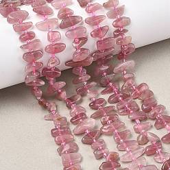 Розовый Кварц Природного розового кварца нитей бисера, чип, с бисером, 8~20x3~8x3~6 мм, отверстие : 1 мм, около 54~56 шт / нитка, 15.35~15.75'' (39~40 см)