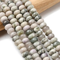 Счастный Нефрит Естественный мир нефрит бисер пряди, рондель, 8.5x5.5 мм, отверстие : 1 мм, около 73 шт / нитка, 15.35'' (39 см)