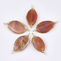 Шоколадный Соединители с проволочной обмоткой из натурального агата, с железной проволокой, окрашенные, овальные, золотые, цвет шоколада, 45~60x20~30x5~8 мм, отверстие : 4 мм
