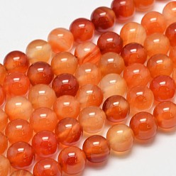 Red Agate Круглые натуральный красный агат бисера пряди, окрашенная и подогревом, 10 мм, отверстие : 1.2 мм, около 38 шт / нитка, 14.9 дюйм